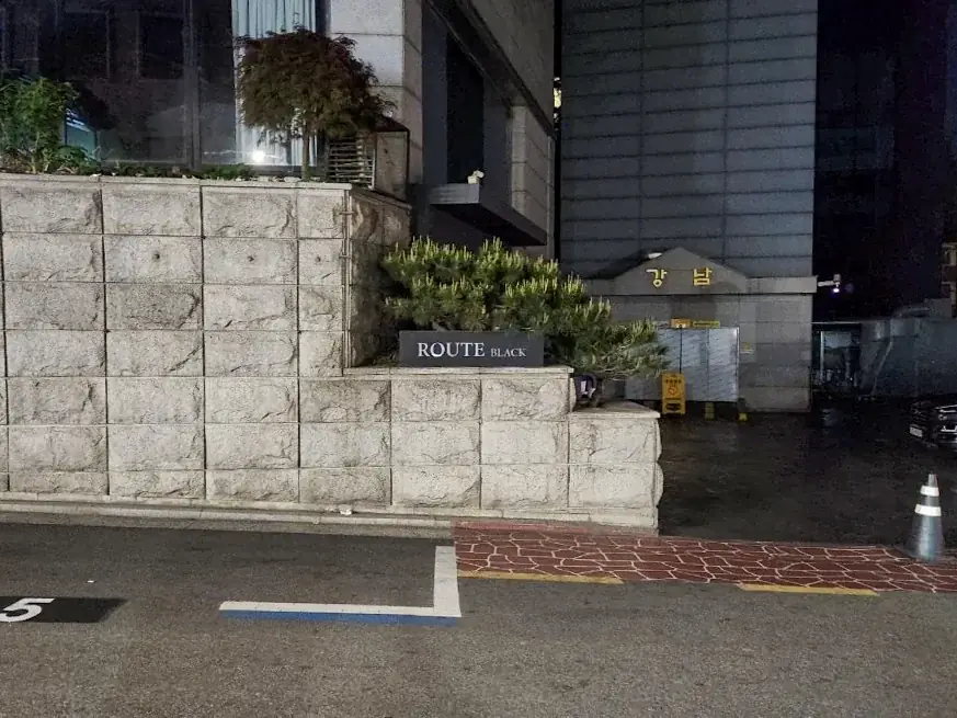강남 루트 갤러리 이미지 3
